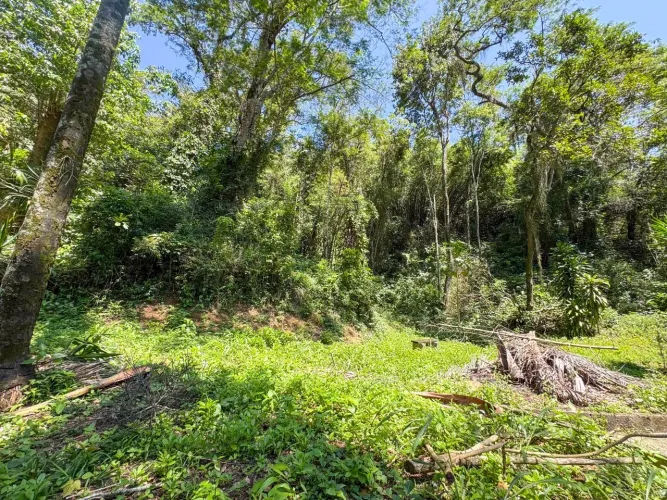 Terreno à venda, 702 m² por R$ 350.000,00 - Itaipu - Niterói/RJ