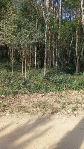 Terreno/ formar chácara 2 mil metros terra