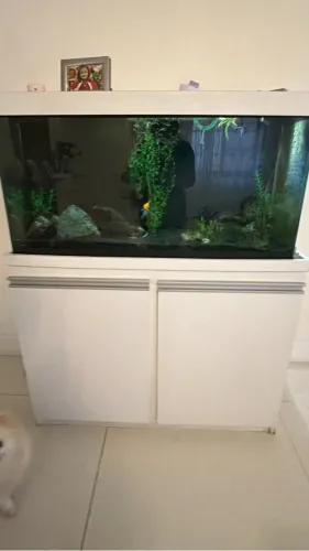 Aquário 200 litros com armário