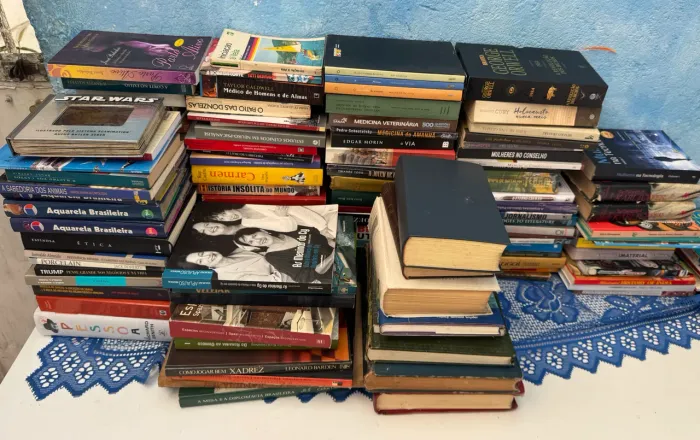 Lote de livros caros a preço acessível