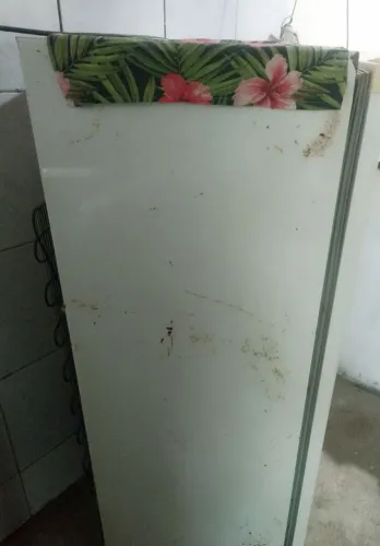 Geladeira Consul nunca foi medida funcionando normal