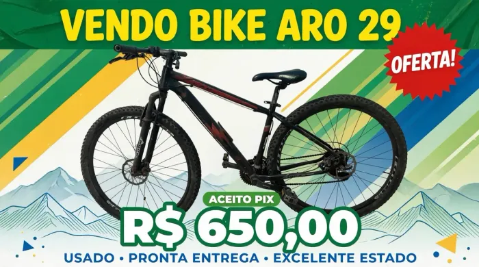 VENDO BIKE ARO 29