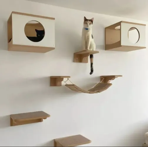 Playground Gato Novo na caixa