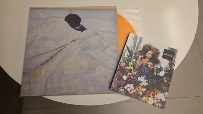 LP Anelis Assumpção - Sal (Noize Record Club)