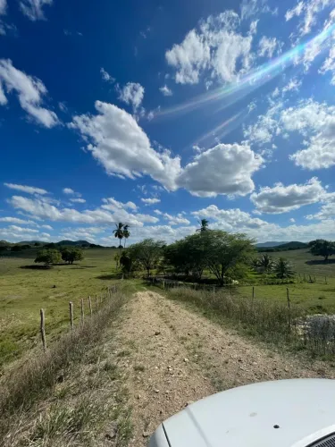 ARRENDA-SE PROPRIEDADE RURAL - 12 HECTARES | PB