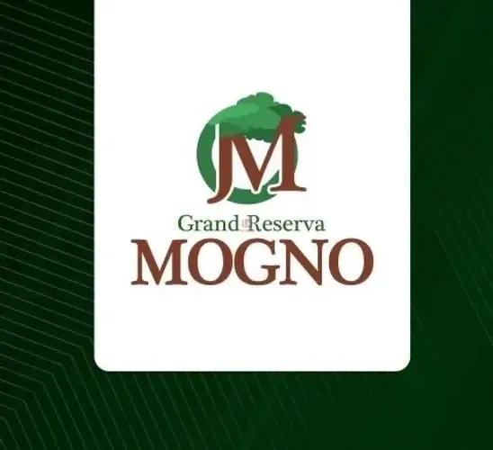 Lote no Grand reserva mogno