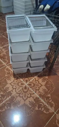 Caixas biotério para Hamster 