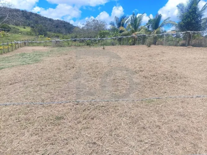 Terreno Amplo no Sapé de 800 m² Aterrado, Plano e Cercado - Itaporanga