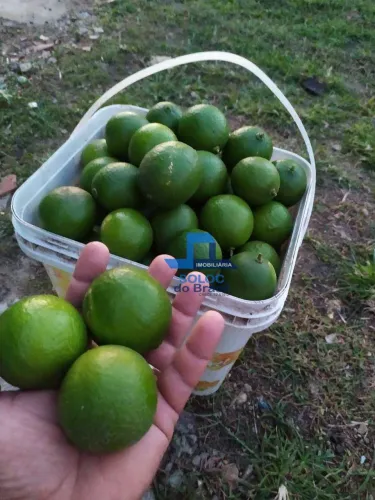 Chácara com 4 dormitórios à venda, - Planalto - Abreu e Lima/PE