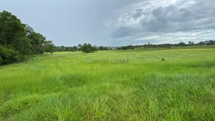 FAZENDA À VENDA REGIÃO DE Juscimeira MT