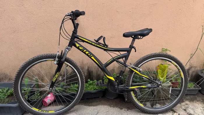 Bicicleta