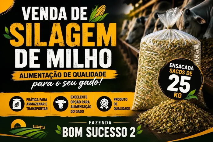 Silagem de milho