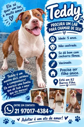 Doação responsável