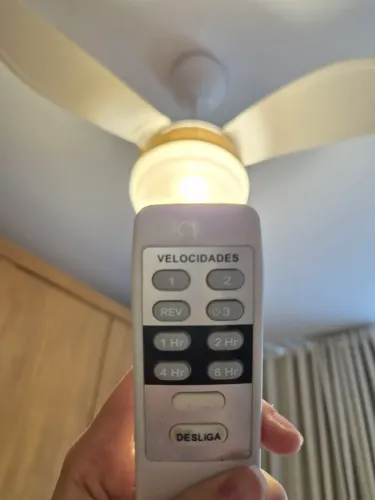 Ventilador de teto com controle