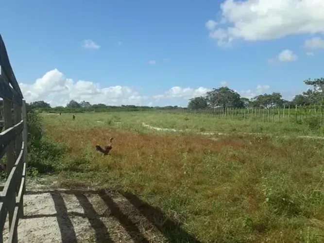 Fazenda com 96 hectares na região vera cruz