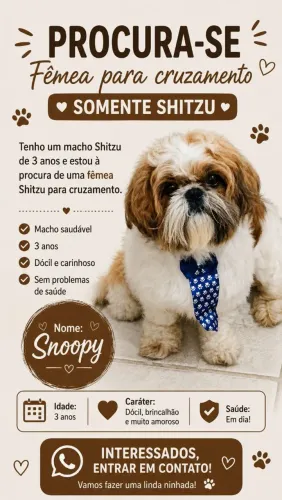 Procuro namorada