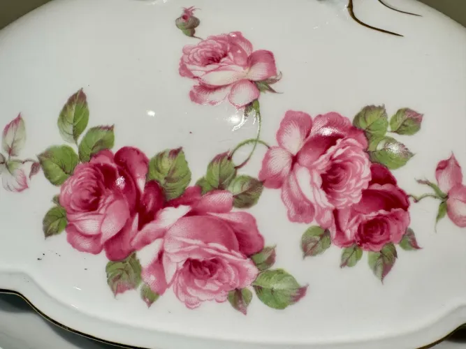 Sopeira porcelana bowl louca de festa mesa posta