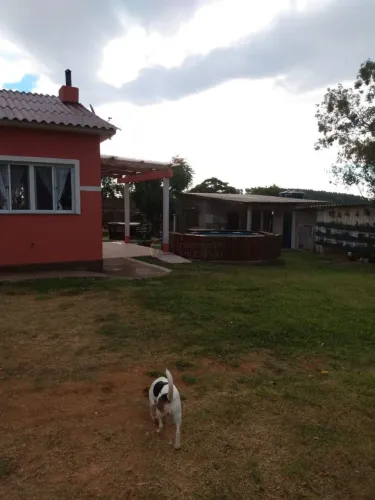 Chácara 2 dormitórios à venda Zona Rural Morro Redondo/RS