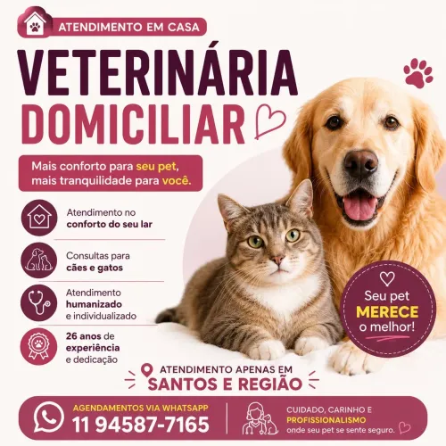 Veterinária domiciliar em Santos