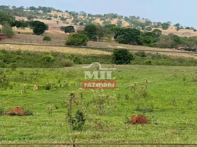 Chácara 3,28 Alqueires (15,39 Hectares) Caturaí - GO
