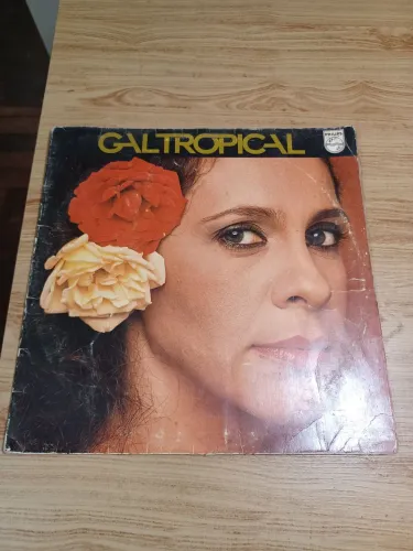 Lps disco de vinil Gal Tropical