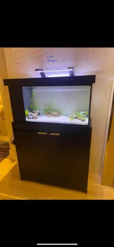 Aquario 80x40x40