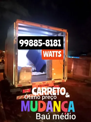 FRETE C/ BAÚ MÉDIO  OU CARRETO C/ SAVEIRO 