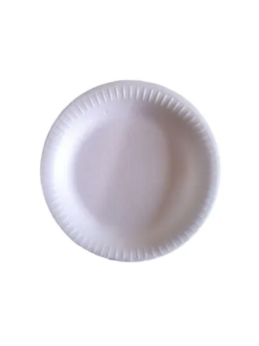 20 Pratos Descartáveis Refeição Churrasco Isopor 21cm - Totalplast