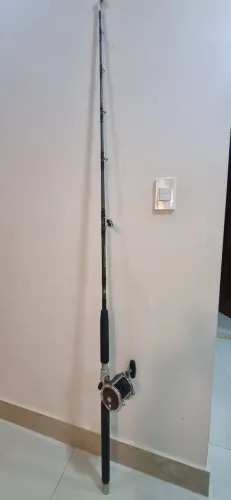 Vara e carretilha penn 113 h