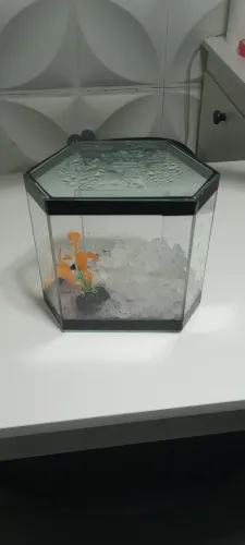 Vendo aquário