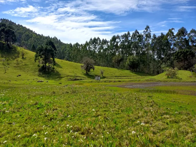 ANITÁPOLIS/SC - Belíssimo terreno para sítio com 10hectares