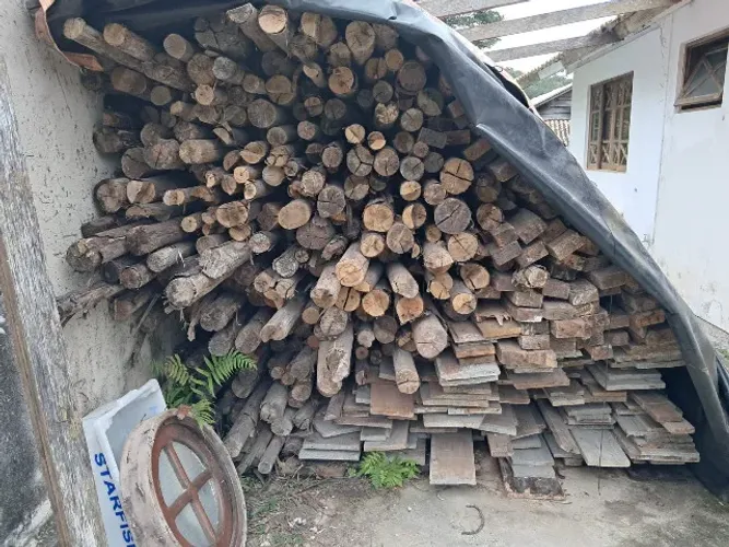 escoras de eucalipto 3 mts