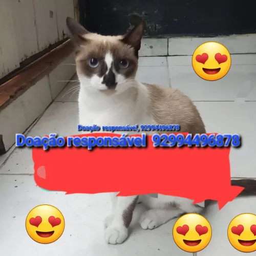 Doação responsável 