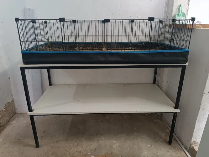 Mesa para cercadinho de porquinho da índia.