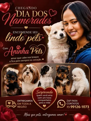 Vendo Shitzu mines