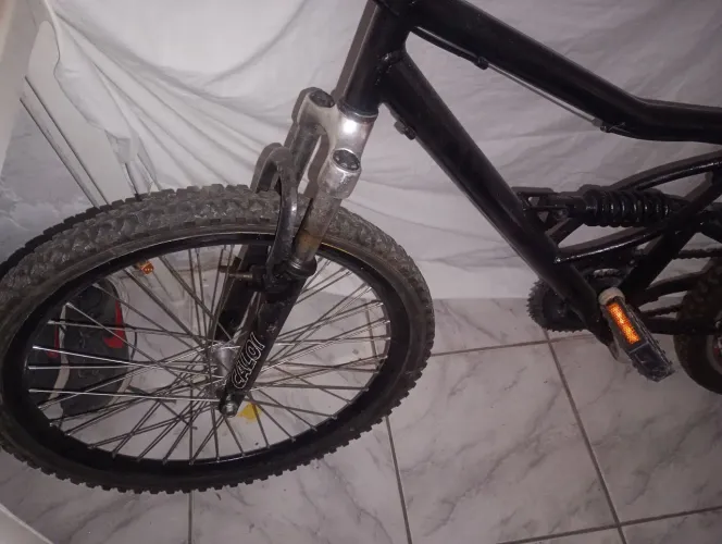 Bicicleta 