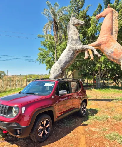 Jeep Renegade Trailhawk 2.0 4X4 TB Diesel AUT 2019