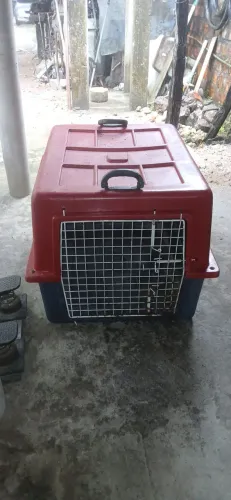 Caixa de transporte pet também GG