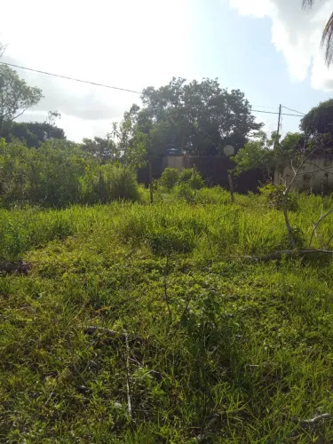 Terreno 20x20 em Monjope.