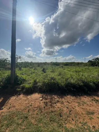 Terreno em Arapiraca