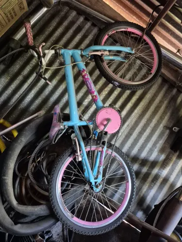 Bicicleta infantil