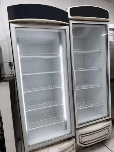 Freezer vertical