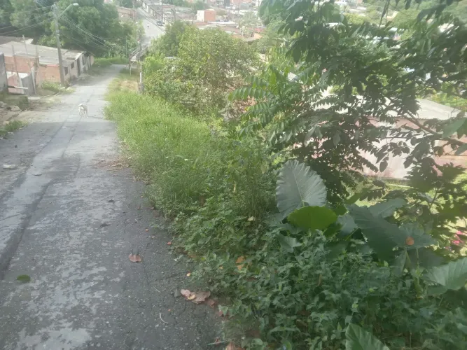Vendo terreno no fazendinha.