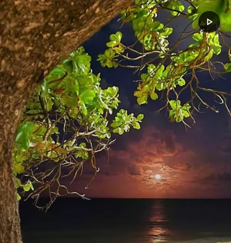 NATUREZA