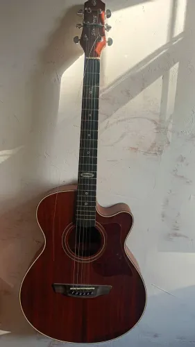 Violao Steinberg elétrico