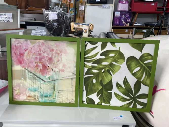 Par de Quadros Decorativos Floral