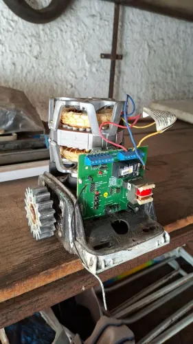 Motor Dz Nano 1/4 hp horse
