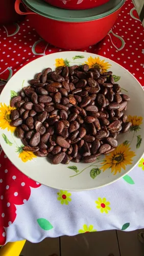 Nibs Caroços De Cacau Premium Torrado - Fazer chocolate e Doces R$90 1kg