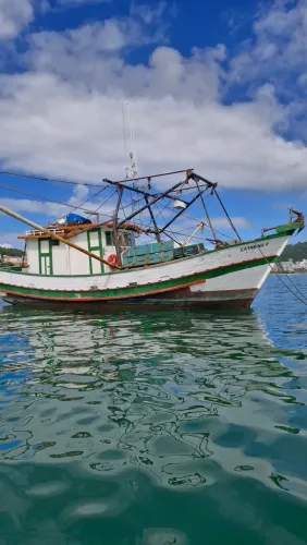 Barco bote baliera 