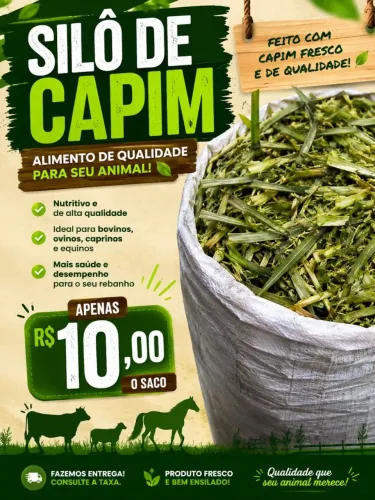 Silo de capim 10$$